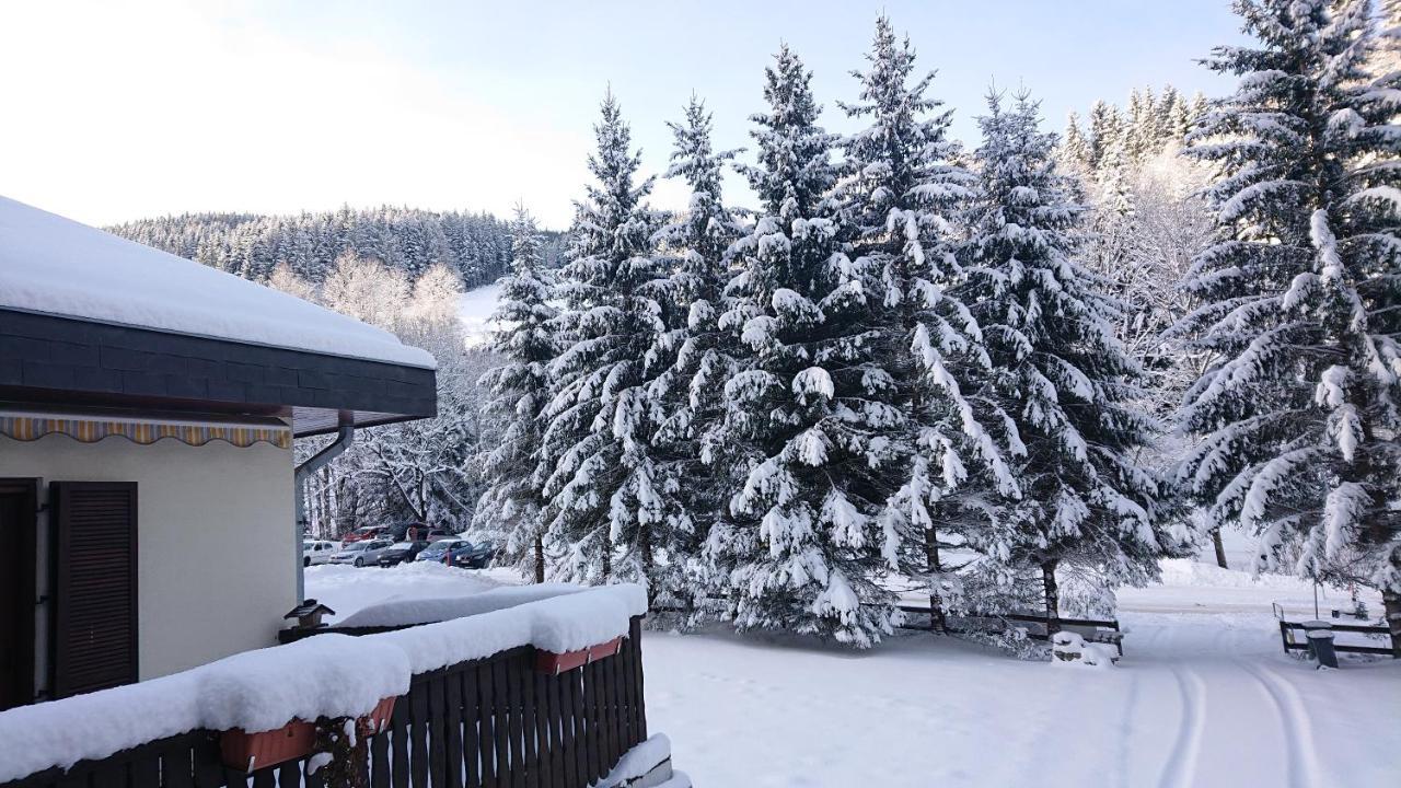 Am Kaltenbach - Spital Am Semmering, Stuhleck Zewnętrze zdjęcie
