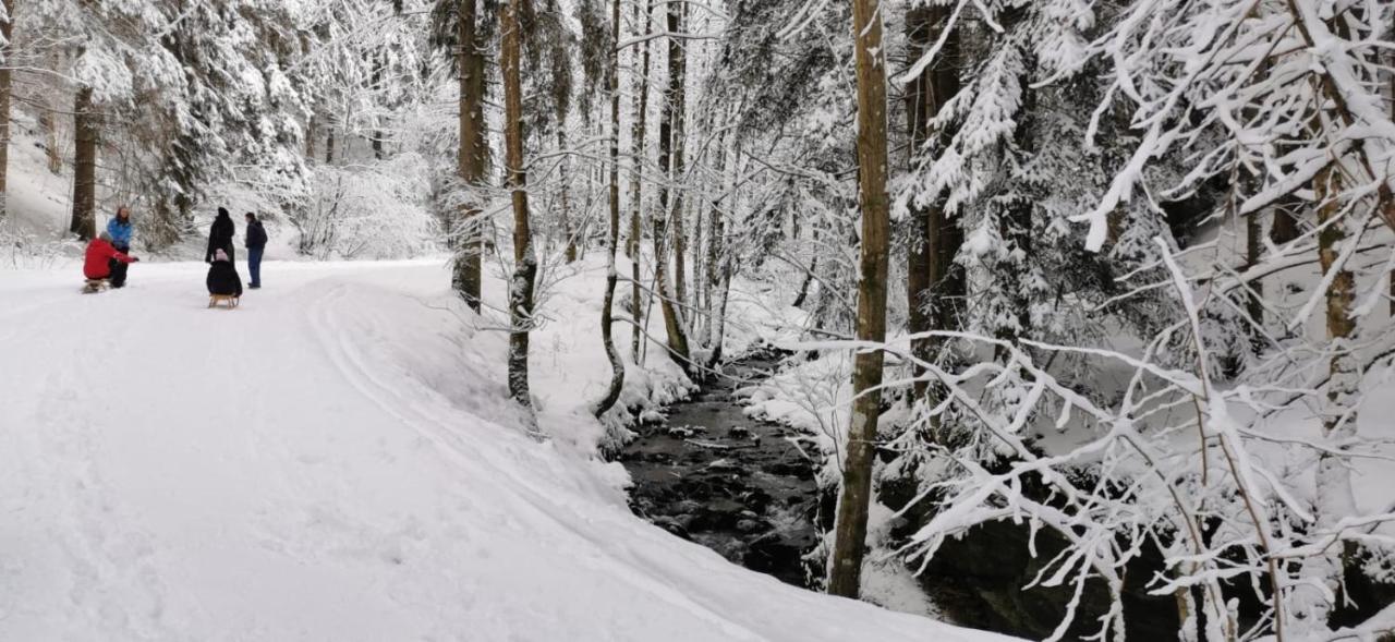 Am Kaltenbach - Spital Am Semmering, Stuhleck Zewnętrze zdjęcie